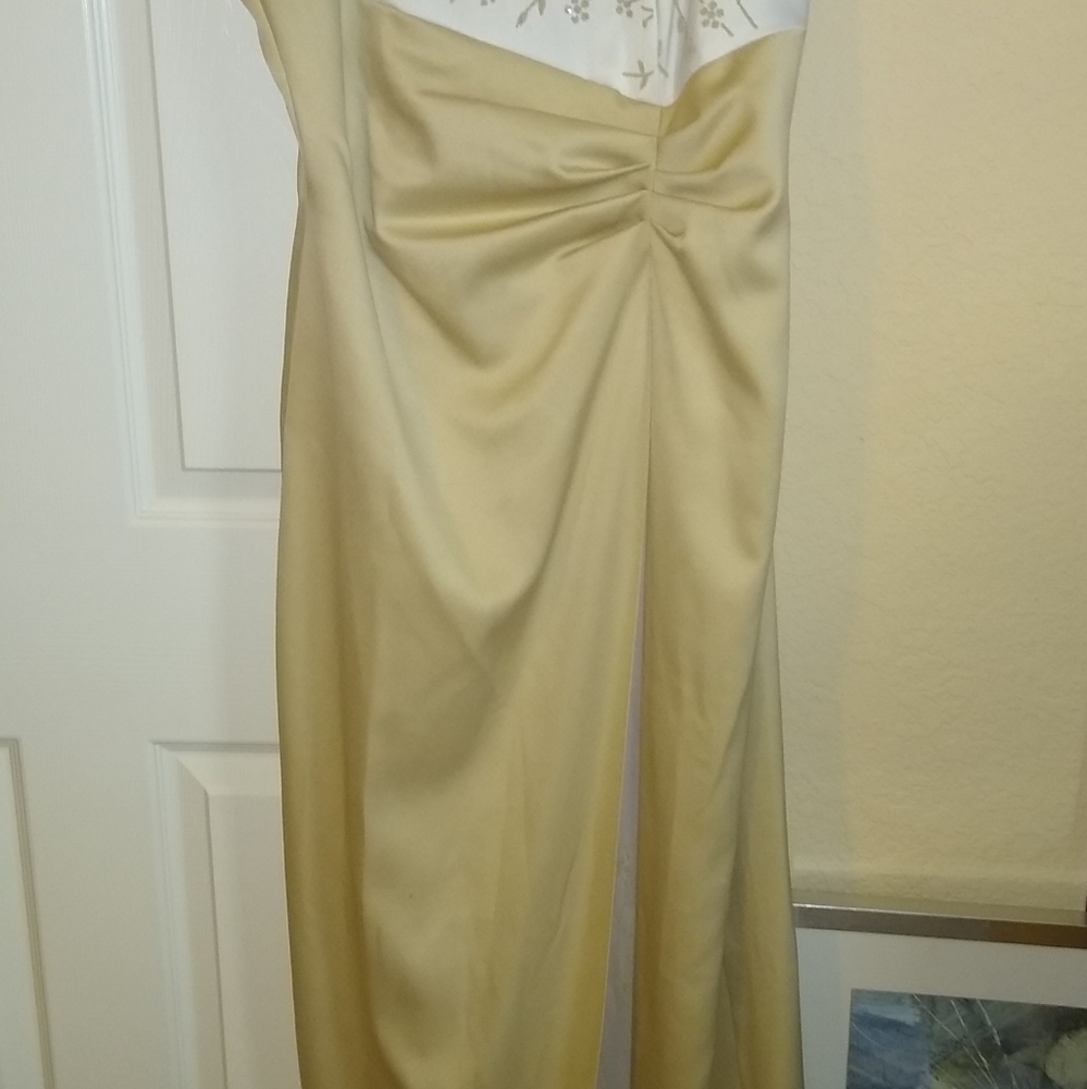 Gold gown with floral underlay